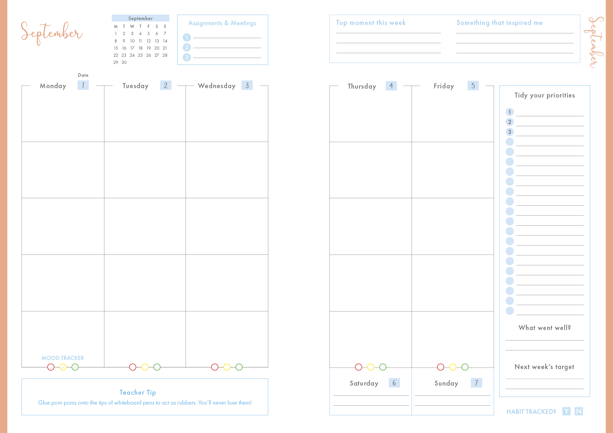 Blue Summit - Book Student Teacher Planner