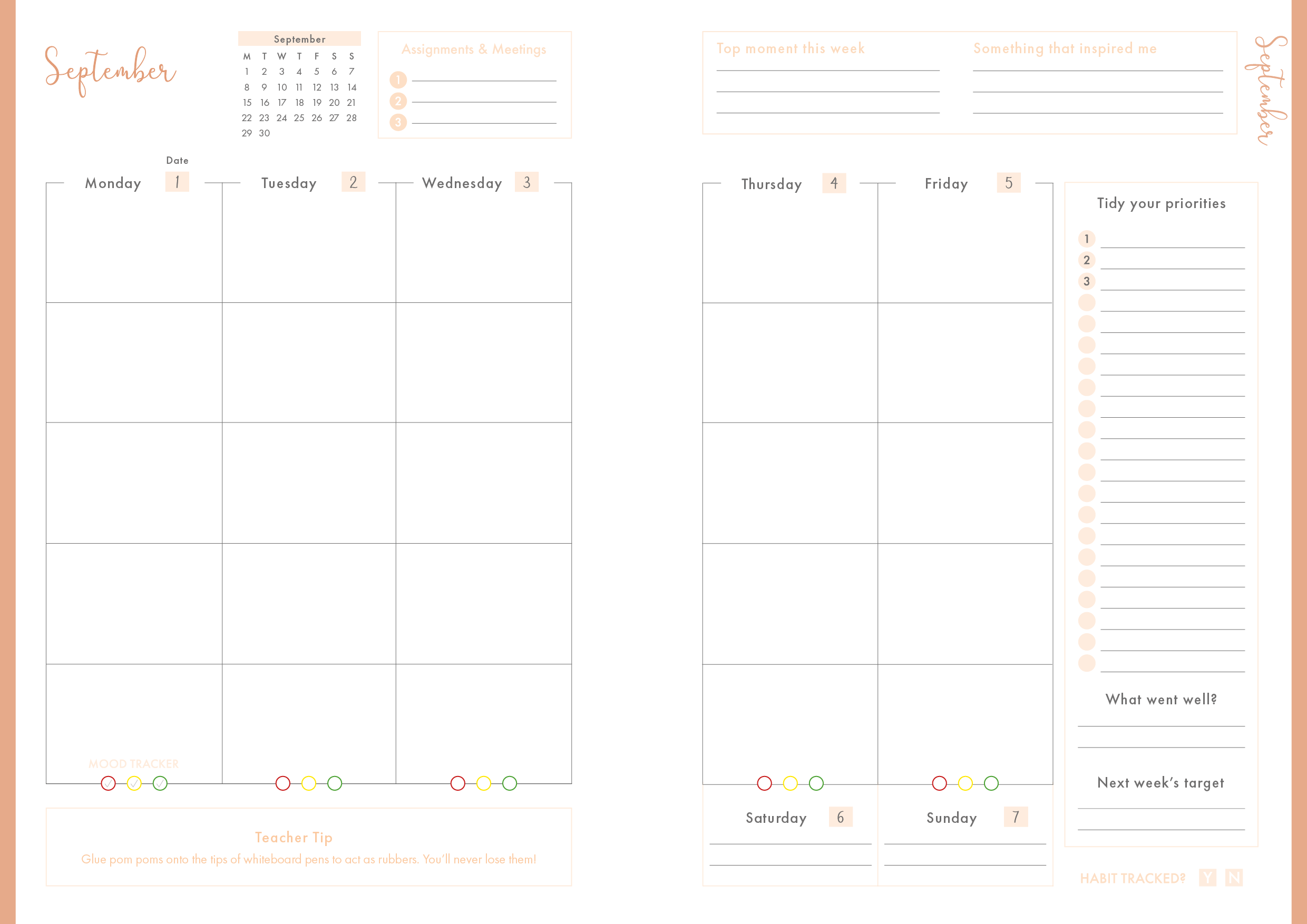 Starry Night - Book Student Teacher Planner